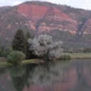 Meet your Posher, Gennyne